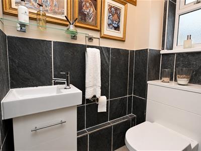 Picture 7